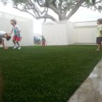 Synthetic Lawn Company El Cajon, Top Rated Artificial Turf Installation Company